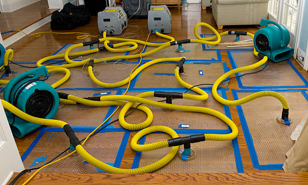Professional Water Extraction technician working in Cecil, GA